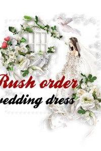 Super express shipping wedding dress